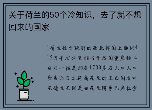 关于荷兰的50个冷知识，去了就不想回来的国家