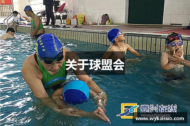 关于球盟会